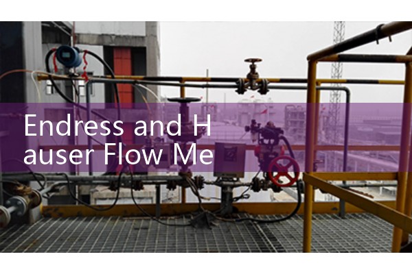 Endress and Hauser Flow Meter Manual Search: Finding Quick Technical Support Documentation